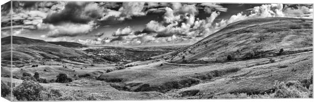 Brecon Beacons Panorama Monochrome Canvas Print by Steve Purnell