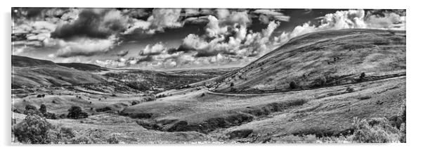 Brecon Beacons Panorama Monochrome Acrylic by Steve Purnell
