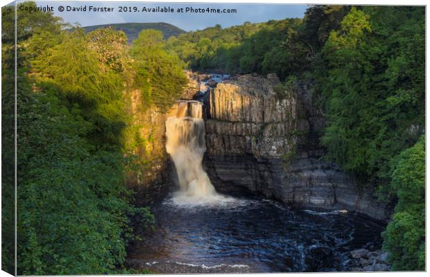 Summer Solstice Sun Illuminating High Force  Canvas Print by David Forster