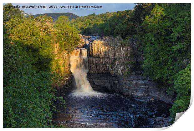 Summer Solstice Sun Illuminating High Force  Print by David Forster