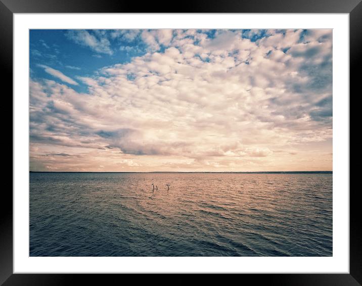 Beautiful panoramic landscape with colorful cloudy Framed Mounted Print by Larisa Siverina