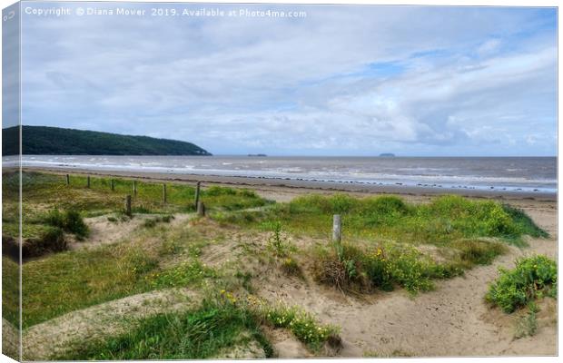  Sand Bay Beach and dunes Canvas Print by Diana Mower
