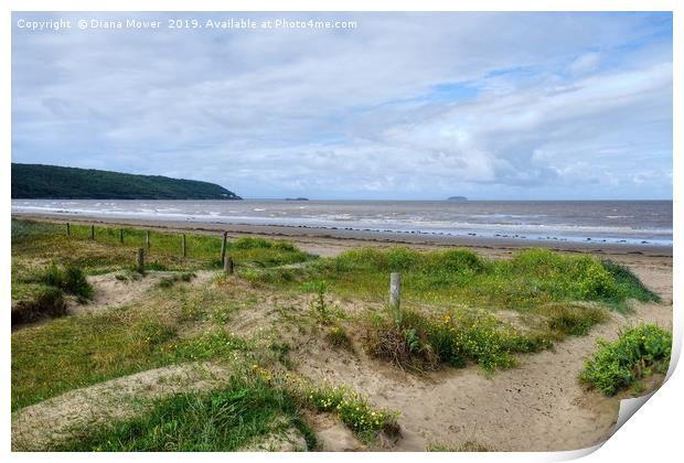  Sand Bay Beach and dunes Print by Diana Mower