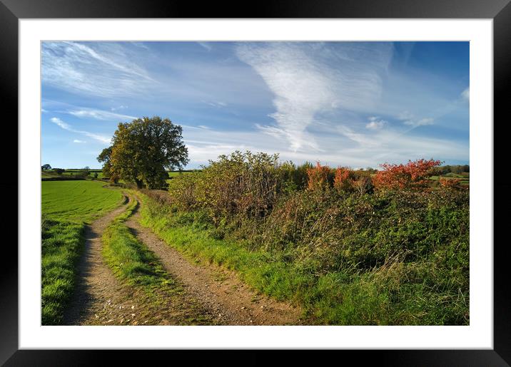 Footpath to Bounds Lane                       Framed Mounted Print by Darren Galpin