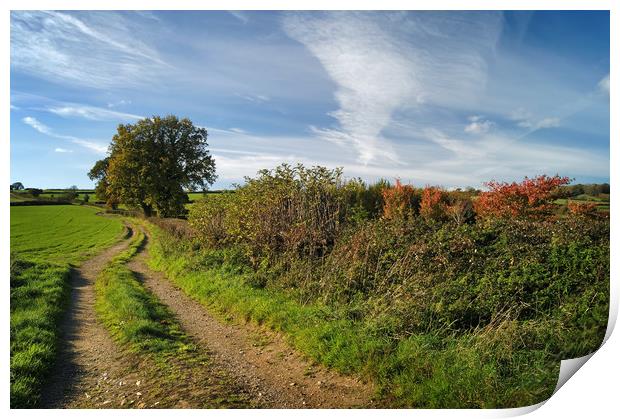 Footpath to Bounds Lane                       Print by Darren Galpin
