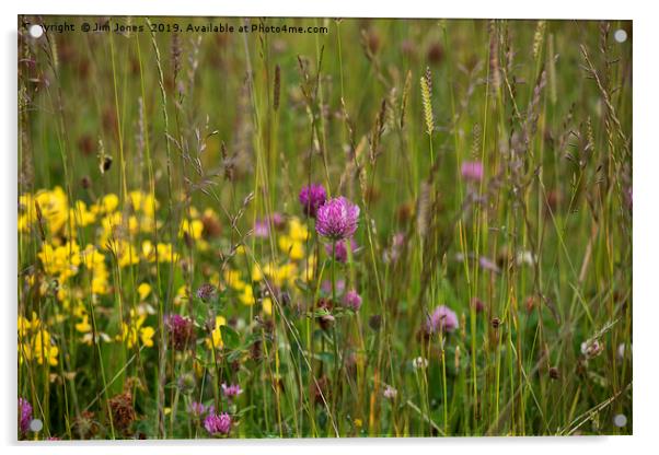 English Wild Flower Meadow Acrylic by Jim Jones
