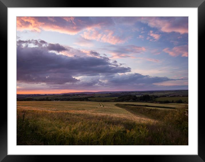 Farmers field in Bideford at Sunset in North Devon Framed Mounted Print by Tony Twyman