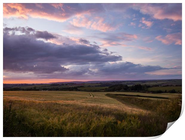 Farmers field in Bideford at Sunset in North Devon Print by Tony Twyman