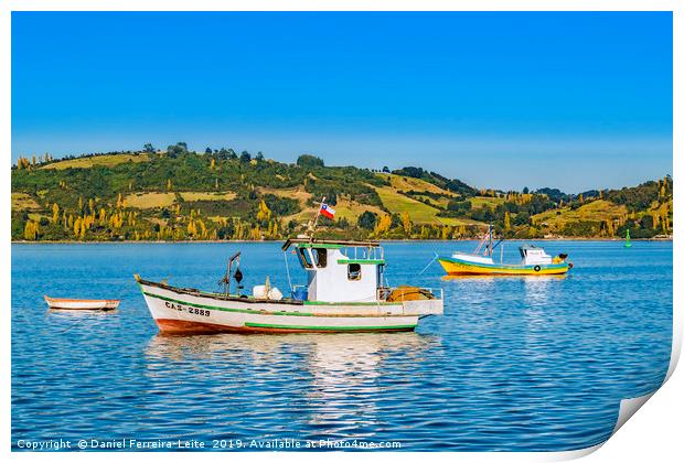 Fishing Boats at Lake, Chiloe, Chile Print by Daniel Ferreira-Leite