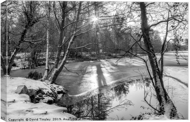 Winter Lake Sunrise Canvas Print by David Tinsley