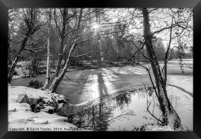 Winter Lake Sunrise Framed Print by David Tinsley