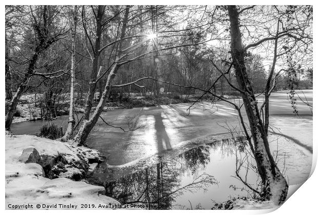 Winter Lake Sunrise Print by David Tinsley