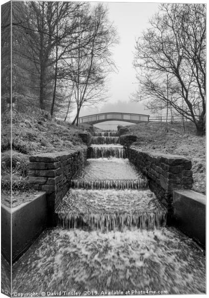 Running Out Canvas Print by David Tinsley