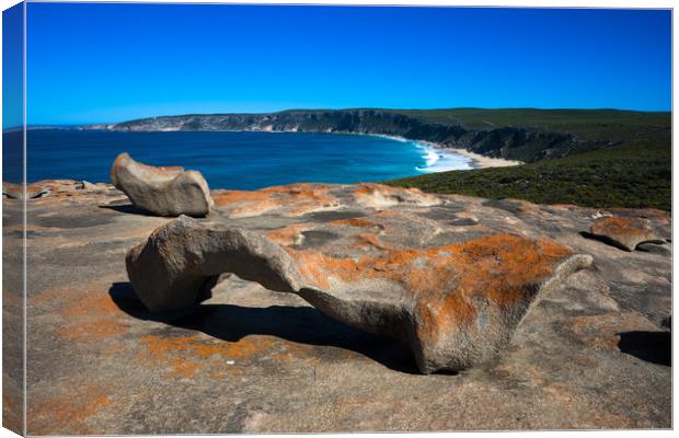 Remarkable Rocks Canvas Print by Andrew Michael