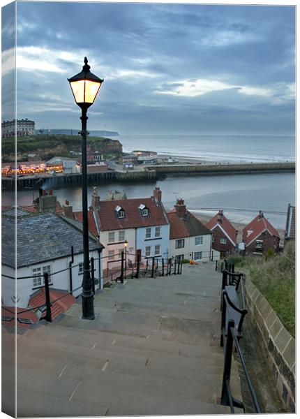 Whitby Steps Canvas Print by Simon Marshall