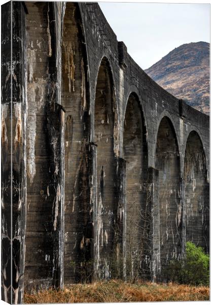 Glenfinnan viaduct Canvas Print by Svetlana Sewell