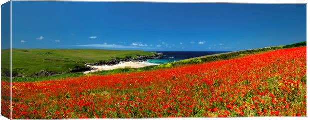 Poppies at West Pentire, Cornwall. Canvas Print by Maggie McCall