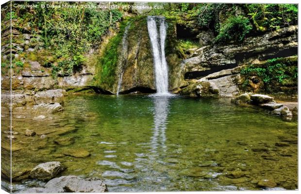 Janets Foss Waterfall Canvas Print by Diana Mower