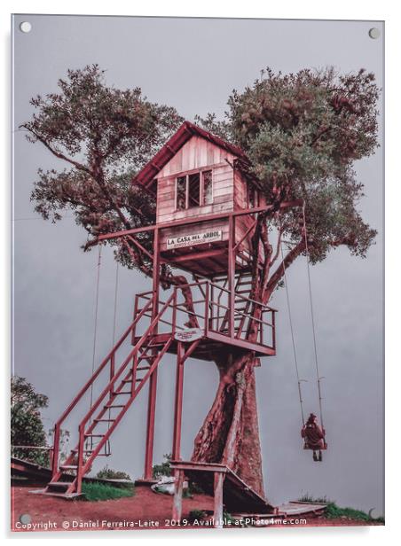 Treehouse Banos Ecuador Acrylic by Daniel Ferreira-Leite