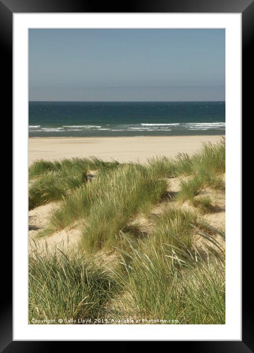 Through the marram grass dunes at Holkham beach Framed Mounted Print by Sally Lloyd