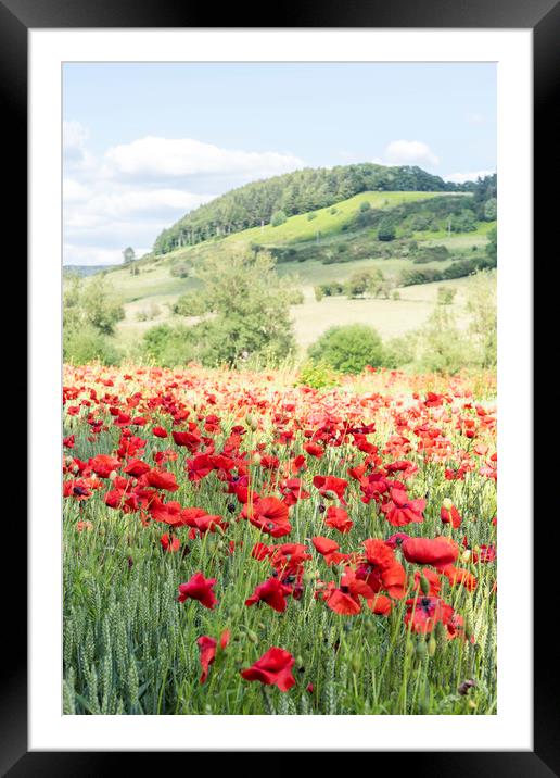 Peak District Poppies Framed Mounted Print by Graham Custance