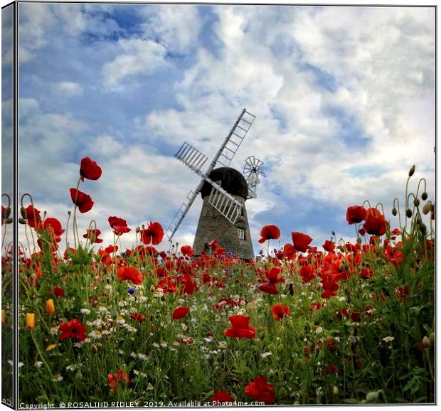 "Windmill in the poppy field" Canvas Print by ROS RIDLEY