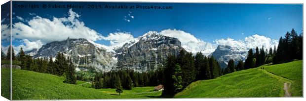 Alpine Panorama, Switzerland Canvas Print by Robert Murray