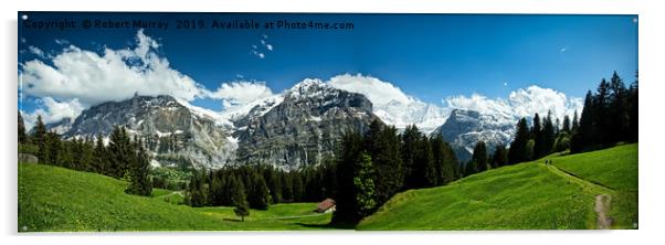 Alpine Panorama, Switzerland Acrylic by Robert Murray