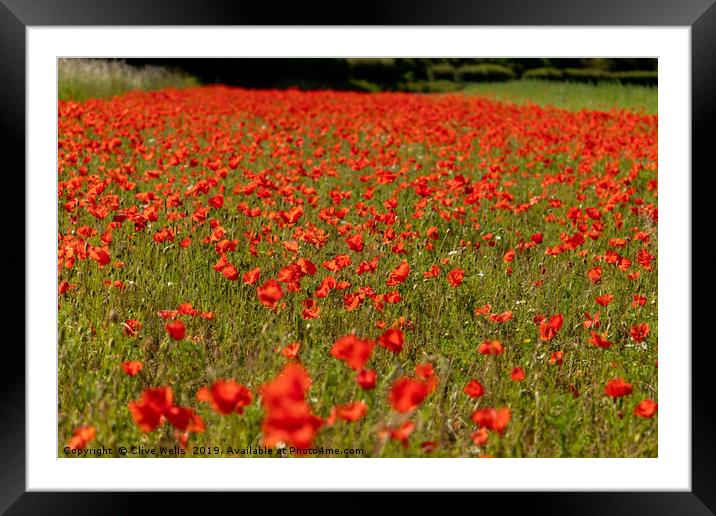 Poppies, Poppies and more Poppies Framed Mounted Print by Clive Wells