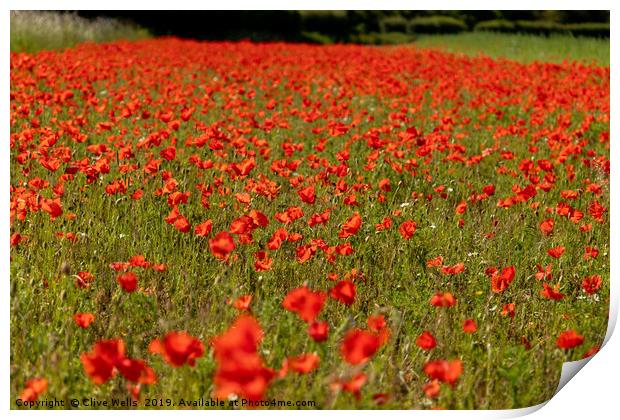 Poppies, Poppies and more Poppies Print by Clive Wells