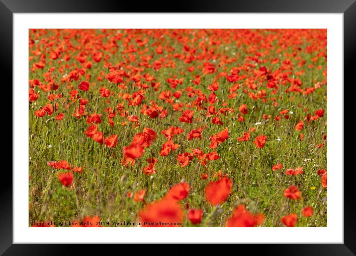 A Spread of Poppies Framed Mounted Print by Clive Wells