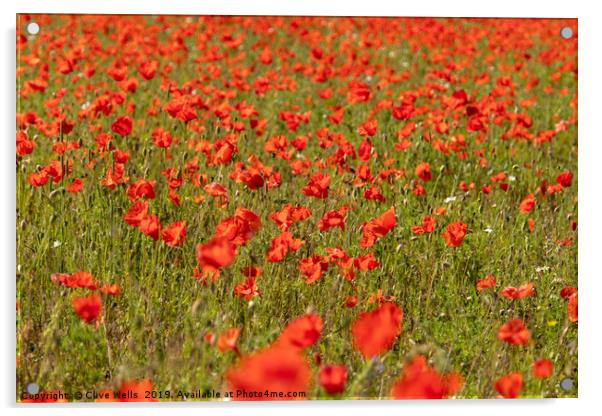 A Spread of Poppies Acrylic by Clive Wells