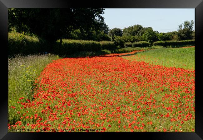 Edging of Poppies Framed Print by Clive Wells
