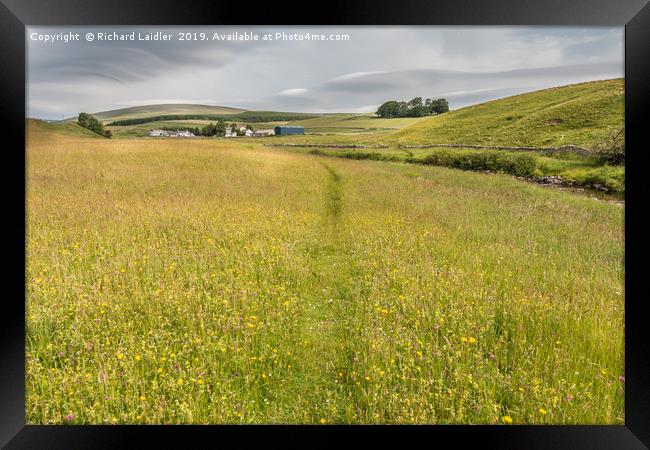 Flowering Hay Meadows at Langdon Beck, Teesdale Framed Print by Richard Laidler