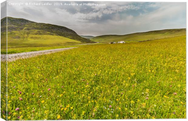 Hay Meadows at Widdybank Pasture, Teesdale Canvas Print by Richard Laidler