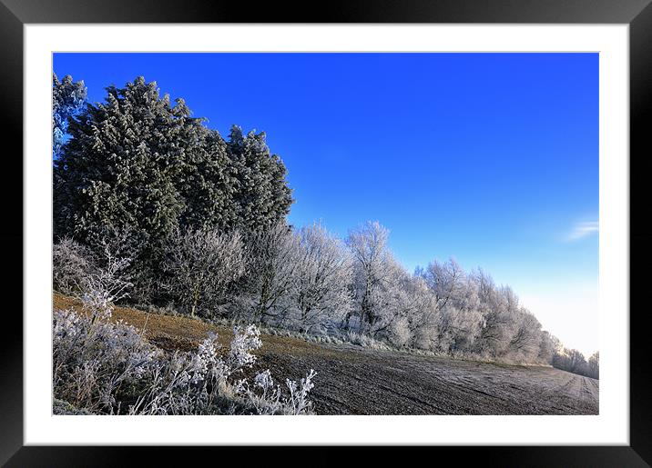 A winters morning Framed Mounted Print by Terry Pearce