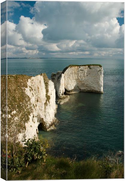 Old Harry Canvas Print by Simon J Beer