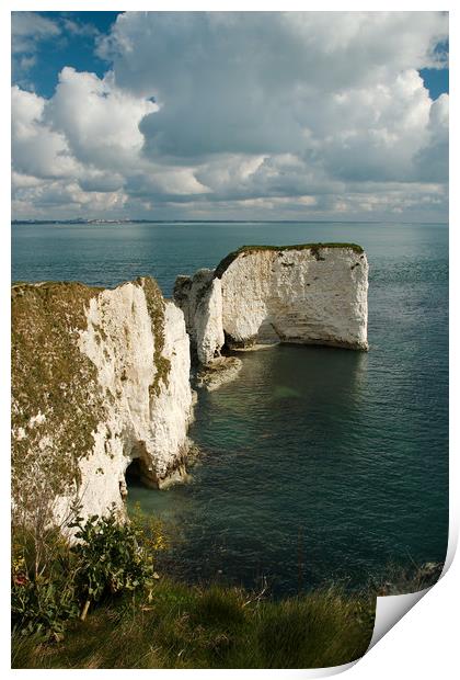 Old Harry Print by Simon J Beer