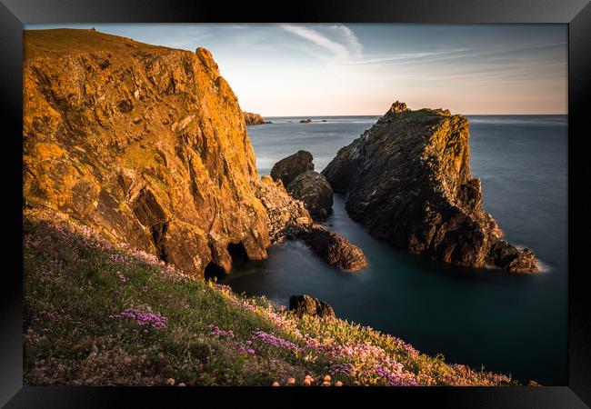 Kynance Cove on the Lizard Peninsular Framed Print by Andrew Michael