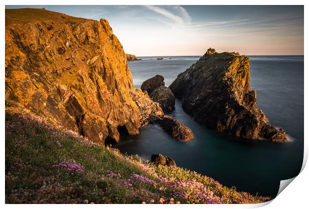 Kynance Cove on the Lizard Peninsular Print by Andrew Michael