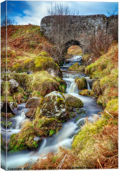 Waterfall Canvas Print by Alan Simpson