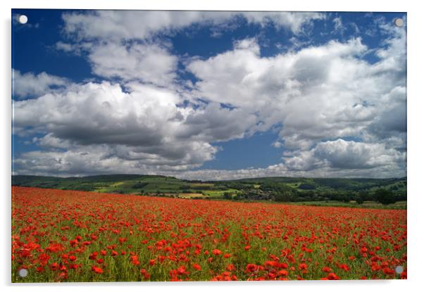 Poppy Field near Baslow,Derbyshire                 Acrylic by Darren Galpin