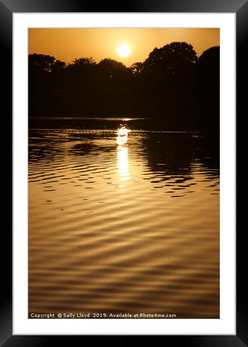 Golden Norfolk Broads Sunset Framed Mounted Print by Sally Lloyd