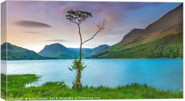 Majestic Beauty of Buttermeres Lone Tree Canvas Print by John Carson