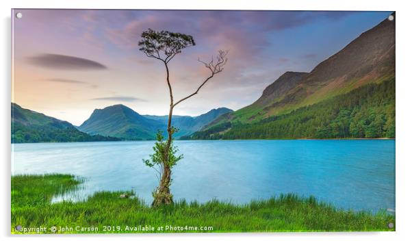 Majestic Beauty of Buttermeres Lone Tree Acrylic by John Carson