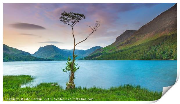 Majestic Beauty of Buttermeres Lone Tree Print by John Carson