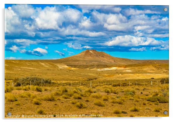 Patagonian Landscape Scene, Argentina Acrylic by Daniel Ferreira-Leite