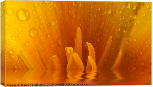Poppy flower macro and water reflection Canvas Print by Simon Bratt LRPS