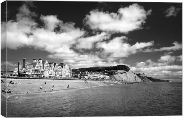 Sidmouth Seafront & Coastline                     Canvas Print by Darren Galpin