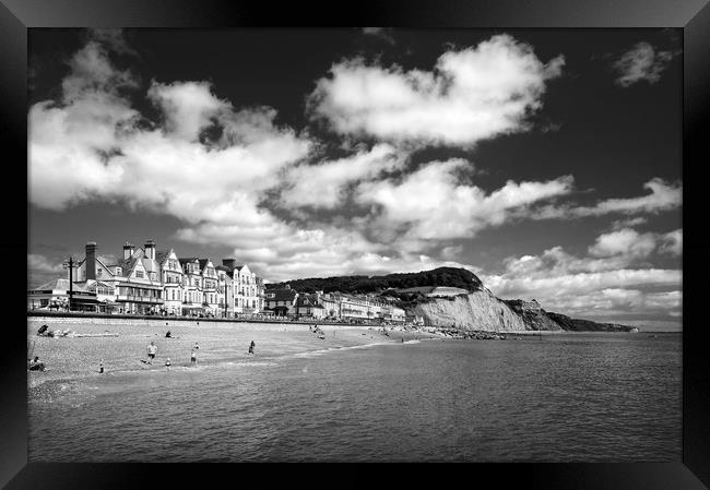 Sidmouth Seafront & Coastline                     Framed Print by Darren Galpin